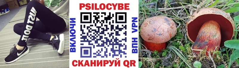Галлюциногенные грибы мицелий  Чухлома 